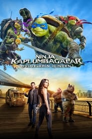 Ninja Kaplumbağalar: Gölgelerin İçinden